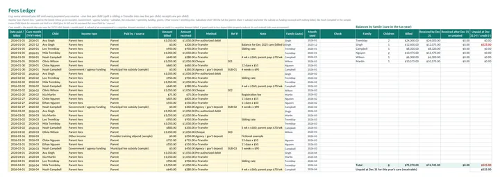Fees Ledger with care months